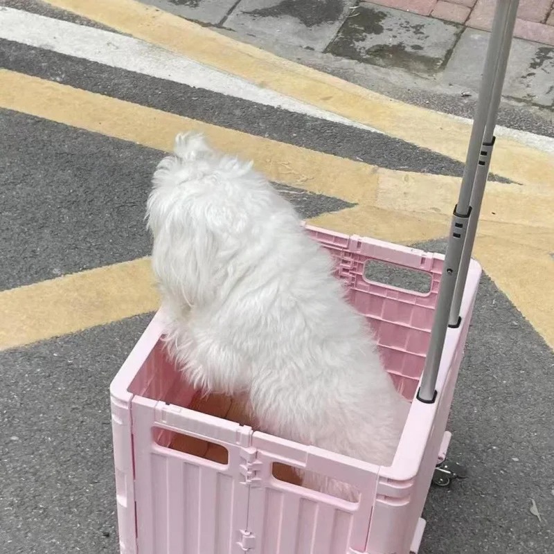折りたたみ式便利なスーパーマーケットショッピングハンドカート - Outdoor Camping Trolley のレビューと価格